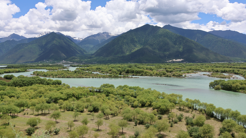Yani_Wetland__Tibet_s_Thriving_Oasis_at_3_000_Meters - Khabar Asia Yani_Wetland__Tibet_s_Thriving_Oasis_at_3_000_Meters