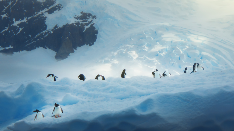 Youth_Vision__UN_80_Showcases_Global_Futures_Through_Young_Eyes