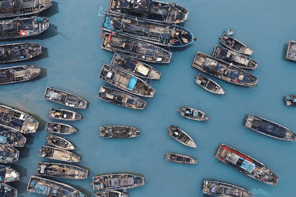 China’s Fishing Season Begins: Ports Bustle with Renewed Activity China’s Fishing Season Begins: Ports Bustle with Renewed Activity video poster