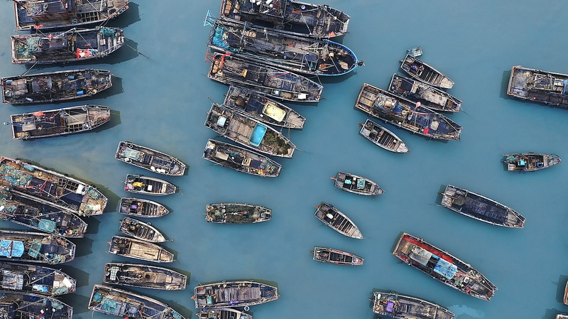 ZMV2HC78IQJHASE8T6G8 - Khabar Asia China’s Fishing Season Begins: Ports Bustle with Renewed Activity video poster