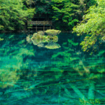 297XAHKZKQVPWZM4U7IT - Khabar Asia Jiuzhaigou’s Five-Flower Lake: A Kaleidoscope of Nature’s Beauty video poster