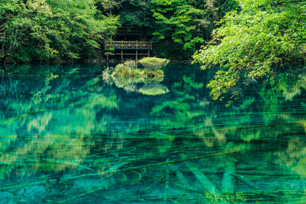 Jiuzhaigou’s Five-Flower Lake: A Kaleidoscope of Nature’s Beauty Jiuzhaigou’s Five-Flower Lake: A Kaleidoscope of Nature’s Beauty video poster