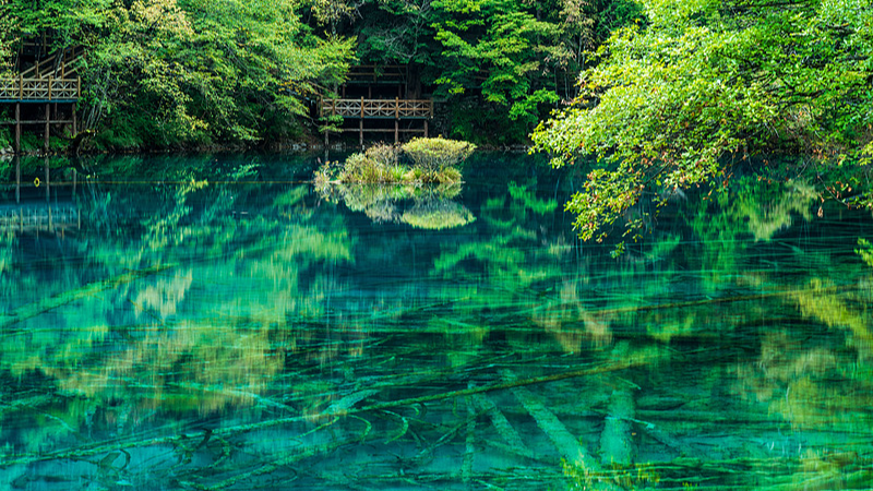 Jiuzhaigou’s Five-Flower Lake: A Kaleidoscope of Nature’s Beauty video poster