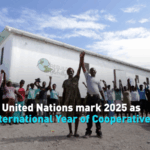 UN Declares 2025 International Year of Cooperatives: Asia’s Role video poster