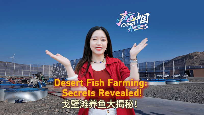 Turpan’s Desert Fish Farms: Innovation in the Gobi Turpan’s Desert Fish Farms: Innovation in the Gobi video poster