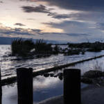 Africa_Demands_Science_Driven_Climate_Finance_Overhaul_at_Addis_Ababa_Summit - Khabar Asia Africa_Demands_Science_Driven_Climate_Finance_Overhaul_at_Addis_Ababa_Summit