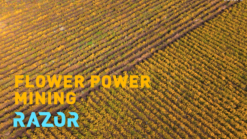 Albania’s Flower-Powered Nickel Mining Offers Green Solution for EV Industry Albania_s_Flower_Powered_Nickel_Mining_Offers_Green_Solution_for_EV_Industry video poster