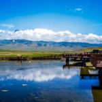 Bayanbulak_Swan_Lake__A_Symphony_of_Nature_in_Xinjiang_poster - Khabar Asia Bayanbulak_Swan_Lake__A_Symphony_of_Nature_in_Xinjiang video poster