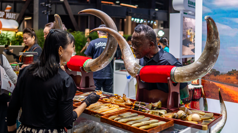 CIFTIS 2025: Africa-China Service Trade Partnerships Flourish CIFTIS_2025__Africa_China_Service_Trade_Partnerships_Flourish