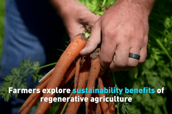California Farmers Lead Charge in Regenerative Agriculture for Climate Resilience California_Farmers_Lead_Charge_in_Regenerative_Agriculture_for_Climate_Resilience video poster