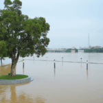 China_Allocates_940M_Yuan_for_Flood_Relief_in_Key_Regions