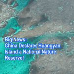 China_Establishes_Huangyan_Island_as_National_Nature_Reserve_poster - Khabar Asia China_Establishes_Huangyan_Island_as_National_Nature_Reserve video poster