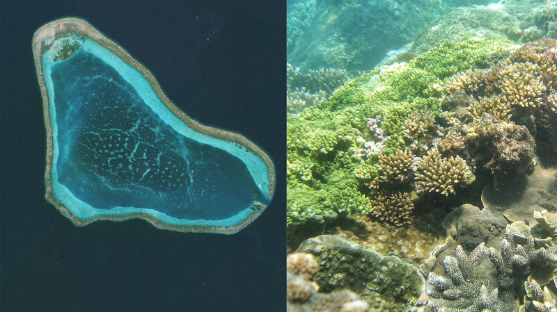 China Expands Coral Reef Protection in Huangyan Dao Reserve China_Expands_Coral_Reef_Protection_in_Huangyan_Dao_Reserve