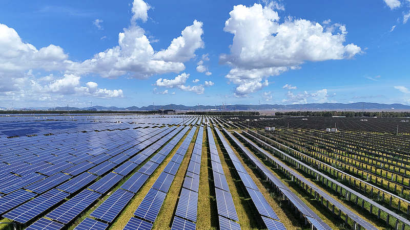 China Sets Bold Climate Targets, Charts Global Green Leadership Path China_Sets_Bold_Climate_Targets__Charts_Global_Green_Leadership_Path