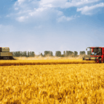 China_Strengthens_Farmland_Protection_Amid_Sustainability_Push