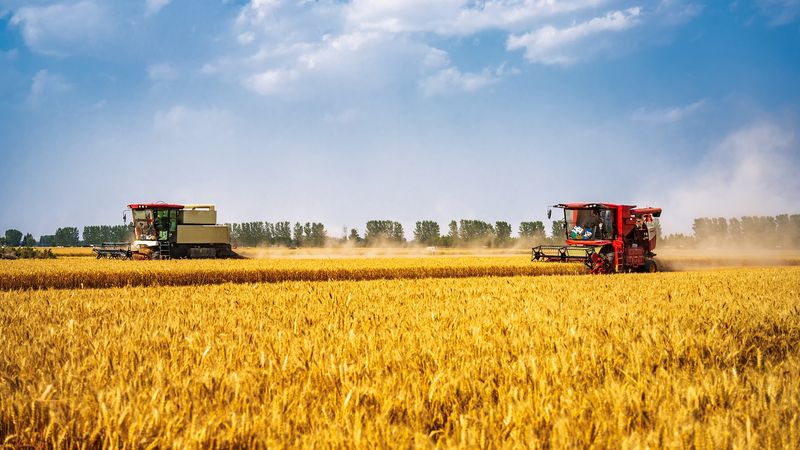China_Strengthens_Farmland_Protection_Amid_Sustainability_Push - Khabar Asia China_Strengthens_Farmland_Protection_Amid_Sustainability_Push