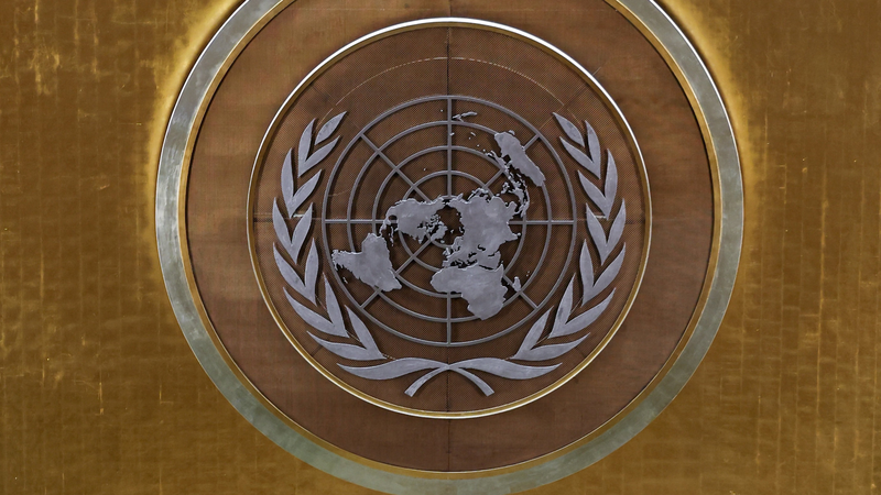 China_Unveils_2_000__Small_and_Beautiful__Global_Development_Projects