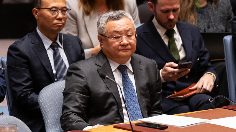 China_Urges_Immediate_Halt_to_Gaza_Offensive_at_UN_Meeting