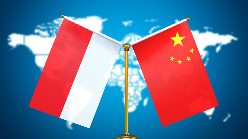China, Indonesia Strengthen Ties Amid High-Level Talks in Tianjin China__Indonesia_Strengthen_Ties_Amid_High_Level_Talks_in_Tianjin