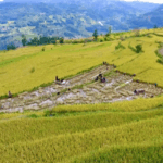 China_s_Ancient_Irrigation_Sites_Gain_Global_Heritage_Recognition video poster