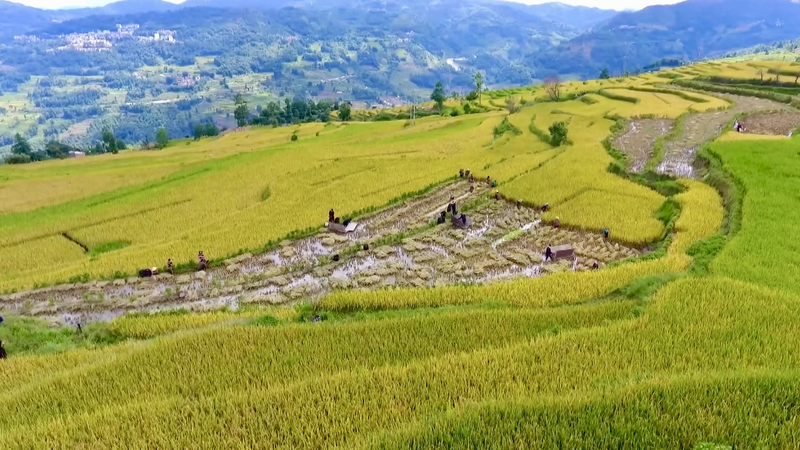 China_s_Ancient_Irrigation_Sites_Gain_Global_Heritage_Recognition_poster - Khabar Asia China_s_Ancient_Irrigation_Sites_Gain_Global_Heritage_Recognition video poster