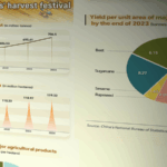 China_s_Farmers__Harvest_Festival__Growth__Tradition__and_Economic_Impact - Khabar Asia China_s_Farmers__Harvest_Festival__Growth__Tradition__and_Economic_Impact