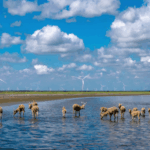 China_s_Green_Transformation_Gains_Momentum__Report_Reveals - Khabar Asia China_s_Green_Transformation_Gains_Momentum__Report_Reveals