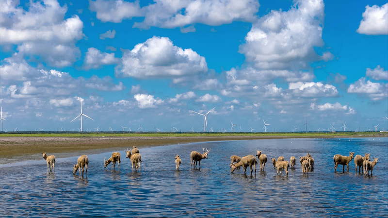 China_s_Green_Transformation_Gains_Momentum__Report_Reveals - Khabar Asia China_s_Green_Transformation_Gains_Momentum__Report_Reveals