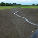 Climate_Change_Fuels_Britain_s_Hottest_Summer_on_Record