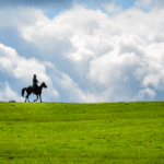 Discover_Kalajun_Grassland__Xinjiang_s_Summer_Paradise_poster - Khabar Asia Discover_Kalajun_Grassland__Xinjiang_s_Summer_Paradise video poster