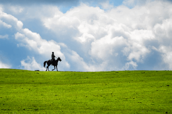 Discover Kalajun Grassland: Xinjiang’s Summer Paradise Discover_Kalajun_Grassland__Xinjiang_s_Summer_Paradise video poster