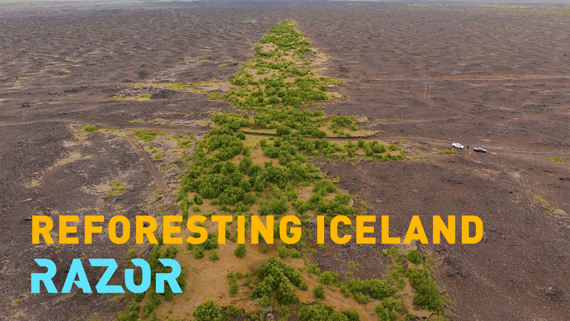 Iceland’s Green Revival: Restoring Lost Forests in the Land of Fire and Ice video poster