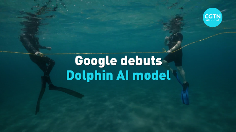 Google_Unveils_DolphinGemma_AI_for_Interspecies_Communication_Breakthrough_poster - Khabar Asia Google_Unveils_DolphinGemma_AI_for_Interspecies_Communication_Breakthrough video poster