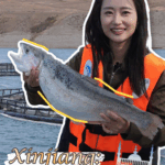 HESVVAE0ZOEEVGYJGLPL - Khabar Asia China’s Mountain Salmon: Innovation Meets Sustainability in Xinjiang video poster