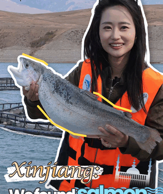 China’s Mountain Salmon: Innovation Meets Sustainability in Xinjiang China’s Mountain Salmon: Innovation Meets Sustainability in Xinjiang video poster