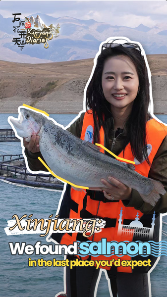 HESVVAE0ZOEEVGYJGLPL - Khabar Asia China’s Mountain Salmon: Innovation Meets Sustainability in Xinjiang video poster