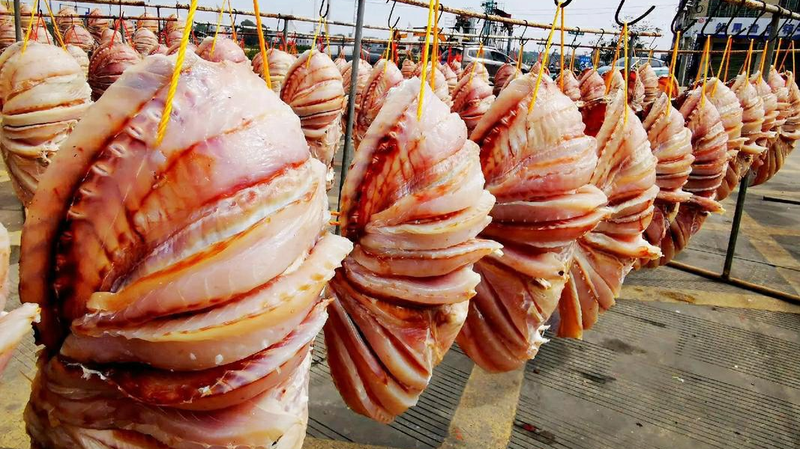 HL8L9JDPQXYPXYK1LHG0 - Khabar Asia Danzhou’s Sun-Dried Snapper: A Cultural Heritage Thrives in Hainan