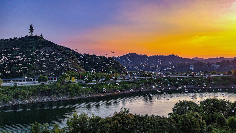 Hangzhou_to_Host_UNESCO_s_5th_World_Biosphere_Congress_in_Historic_First_for_Asia_poster - Khabar Asia Hangzhou_to_Host_UNESCO_s_5th_World_Biosphere_Congress_in_Historic_First_for_Asia video poster