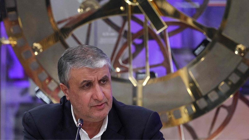 Iran_and_Russia_Forge__25B_Nuclear_Energy_Partnership