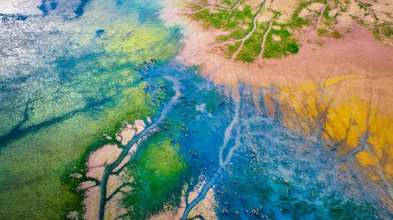 World’s First Coastal Ecosystem Report Unveiled at Global Forum World’s First Coastal Ecosystem Report Unveiled at Global Forum