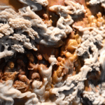 Master_Chen_Yijing__50_Years_Preserving_Shoushan_Stone_Art - Khabar Asia Master_Chen_Yijing__50_Years_Preserving_Shoushan_Stone_Art