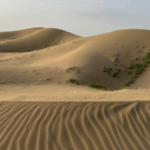 Ningxia_Transforms_Desert_into_Oasis__A_Model_for_Sustainable_Growth - Khabar Asia Ningxia_Transforms_Desert_into_Oasis__A_Model_for_Sustainable_Growth