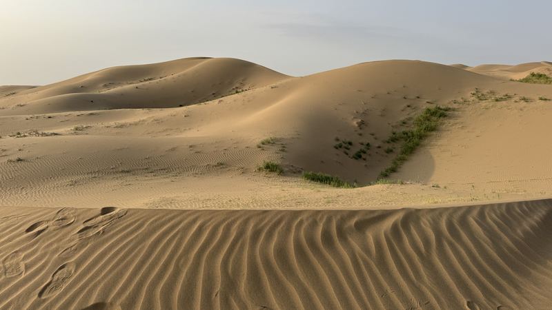 Ningxia_Transforms_Desert_into_Oasis__A_Model_for_Sustainable_Growth - Khabar Asia Ningxia_Transforms_Desert_into_Oasis__A_Model_for_Sustainable_Growth