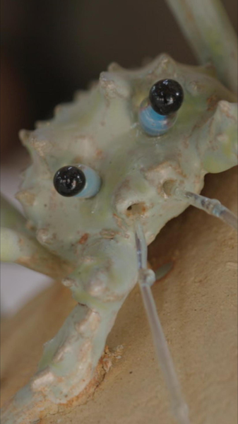 Ocean-Inspired Ceramics Redefine Beauty in Art Ocean_Inspired_Ceramics_Redefine_Beauty_in_Art video poster