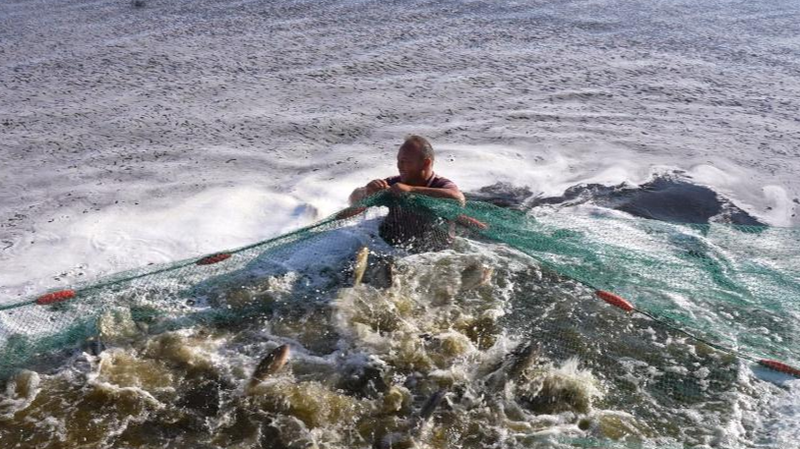 P9LUQ7JB92MHP008K0MK - Khabar Asia Xinjiang’s Aquaculture Boom: From Snow Rivers to Blue Granaries