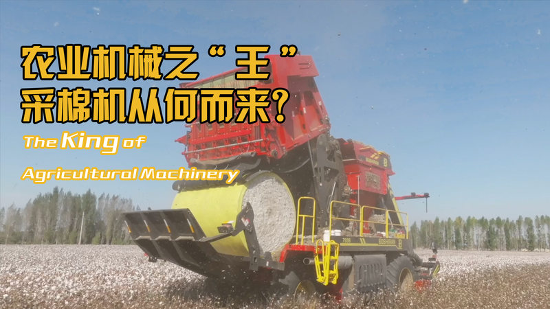 Xinjiang Leads China’s Cotton Revolution with Homegrown Harvesters Xinjiang Leads China’s Cotton Revolution with Homegrown Harvesters video poster