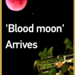 Rare__Blood_Moon__Dazzles_Skies_Across_Asia_and_Beyond_poster - Khabar Asia Rare__Blood_Moon__Dazzles_Skies_Across_Asia_and_Beyond video poster