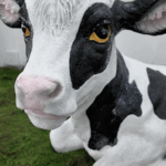 Smart_Ranch_Revolutionizes_Dairy_Industry_in_Hubei__Fuels_Rural_Growth_poster - Khabar Asia Smart_Ranch_Revolutionizes_Dairy_Industry_in_Hubei__Fuels_Rural_Growth video poster