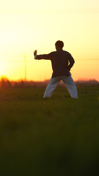 Sunset_Bajiquan__Ancient_Martial_Art_Meets_Golden_Hour video poster