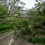 Typhoon_Ragasa_Threatens_South_China_with_Severe_Flooding__Landslides_poster - Khabar Asia Typhoon_Ragasa_Threatens_South_China_with_Severe_Flooding__Landslides video poster